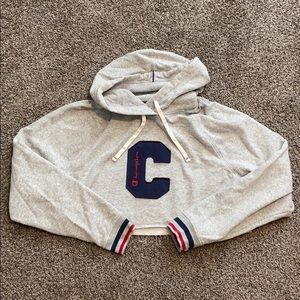 Cropped Champion Hoodie